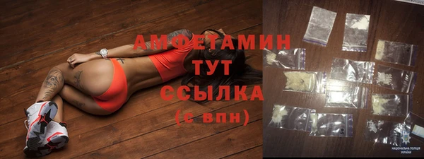 шишки Новокубанск