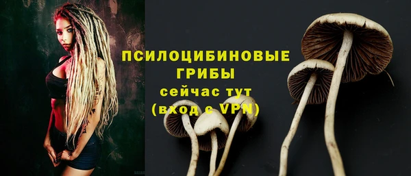 MESCALINE Алзамай
