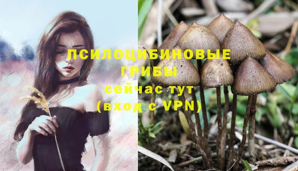 гашишное масло Алексин