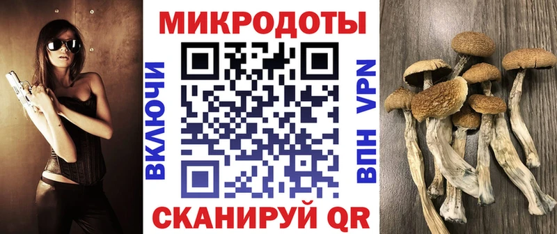 цены наркотик  Пошехонье  Псилоцибиновые грибы MAGIC MUSHROOMS 